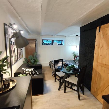 Przytulne Studio 4 Z Parkingiem Κατοβίτσε Εξωτερικό φωτογραφία